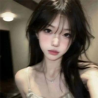 完美的独裁国家