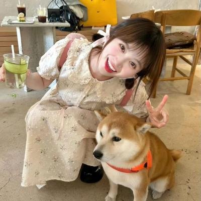 我们的家园2019
